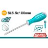 Izvijač ravni SL5,5X100mm (TSDRSSL5100)